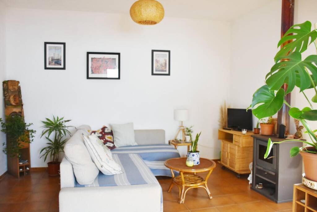 Bamboo House Aljezur Apartment Exterior photo